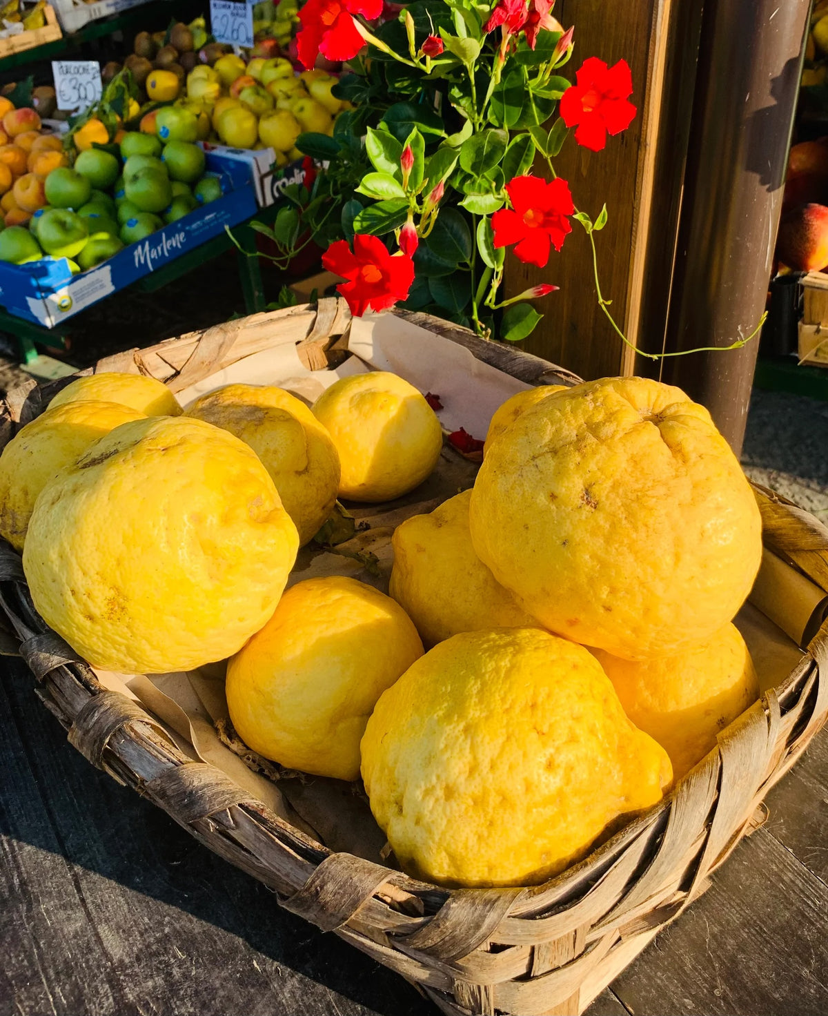 Lemon Majolica - 3 Body Soap Set