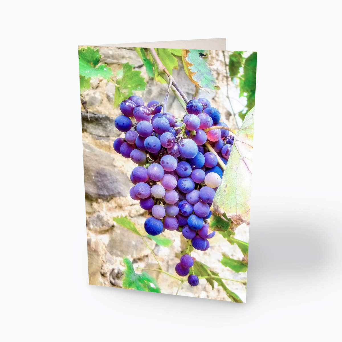 Grapes Notecards