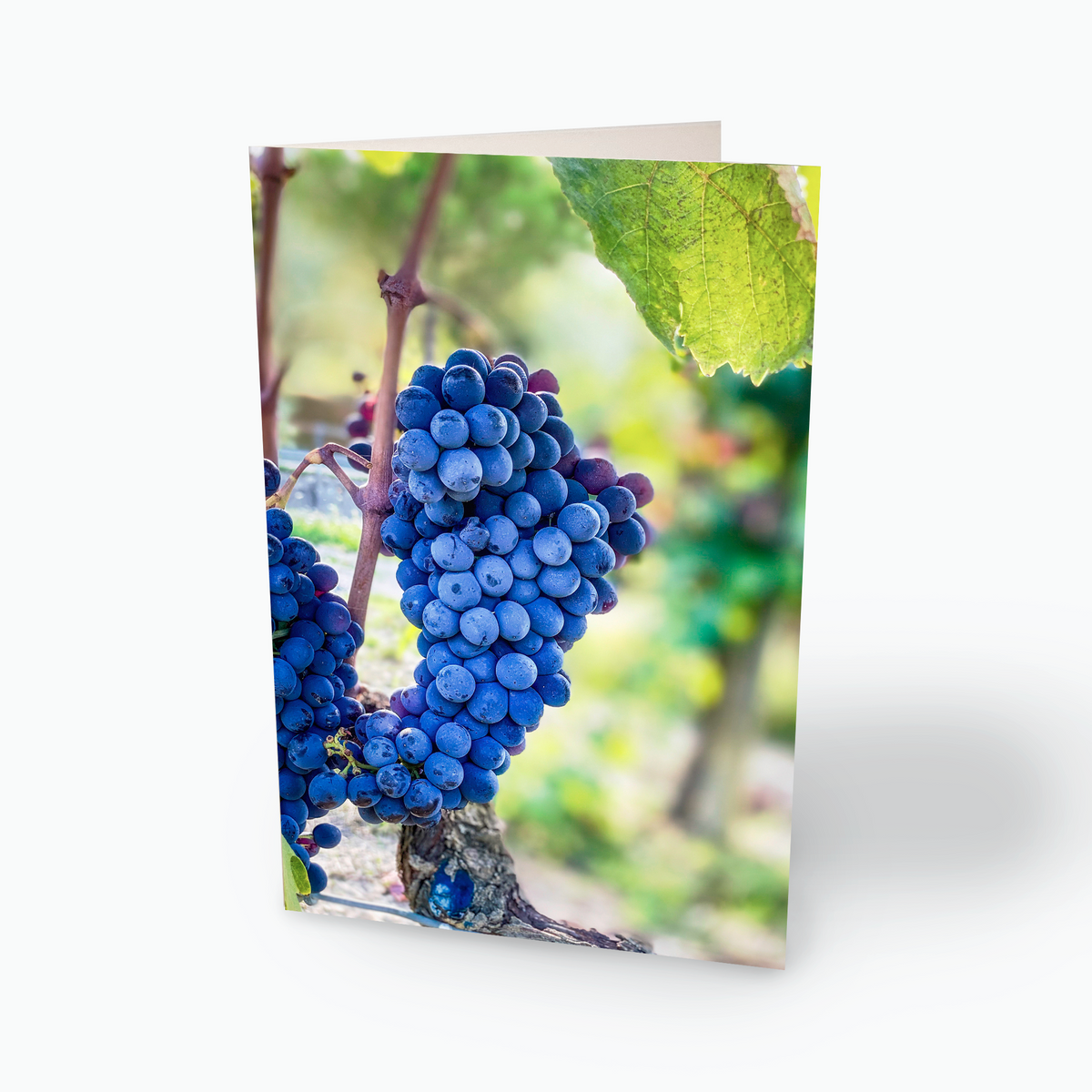 Grapes Notecards
