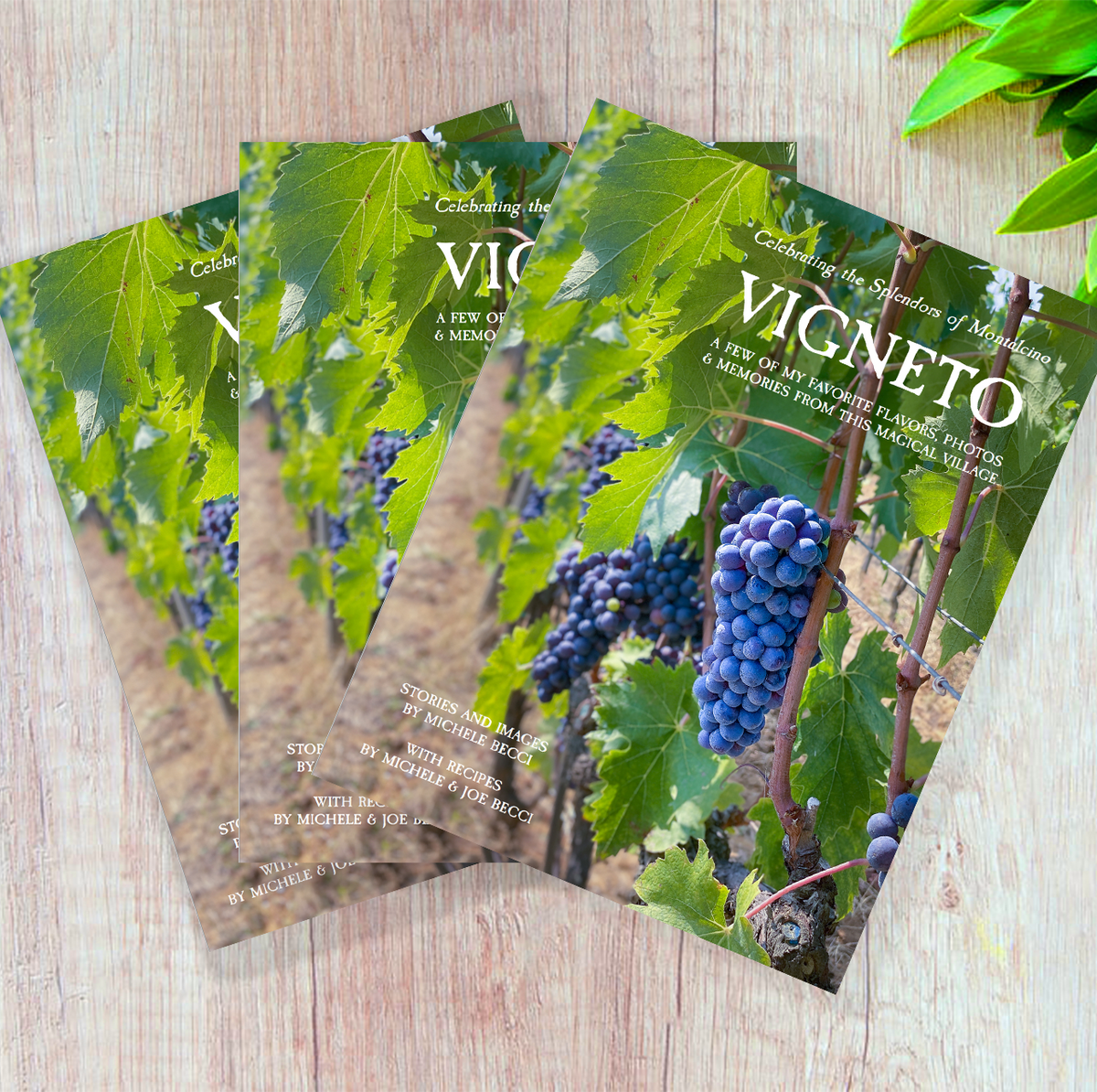 Vigneto  - Celebrating the Splendors of Montalcino (Digital Download)